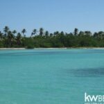 listing image thumbnail with ID 112293