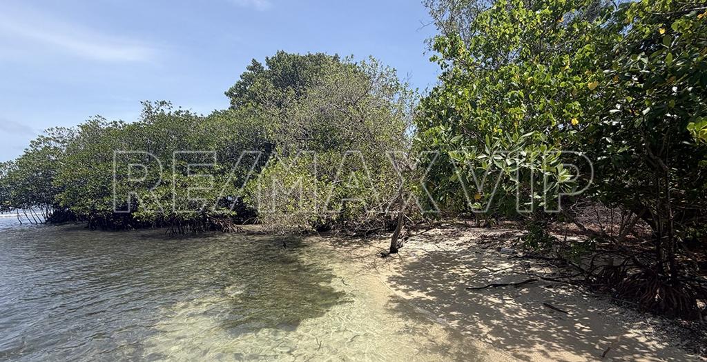 listing image with ID 110562