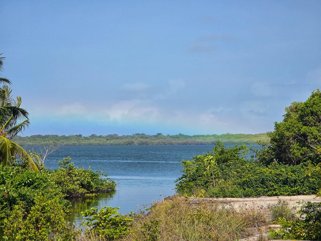 listing image with ID 111328