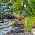 listing image thumbnail with ID 110799