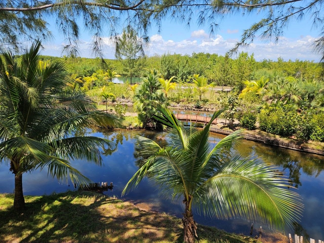 listing image with ID 110526