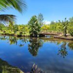 listing image thumbnail with ID 110518