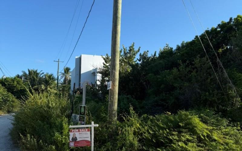 listing image with ID 113150