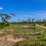 listing image thumbnail with ID 113142