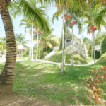listing image thumbnail with ID 113616