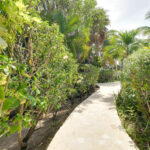 listing image thumbnail with ID 113564