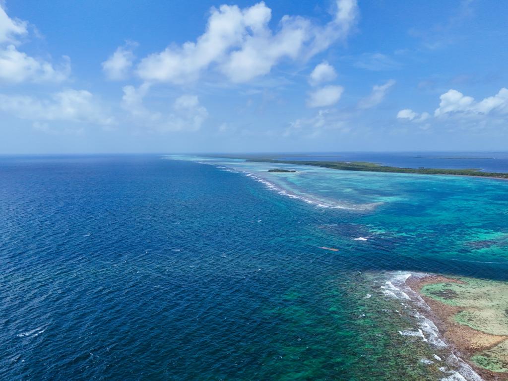 listing image with ID 114022
