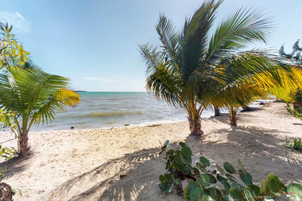 listing image with ID 113343