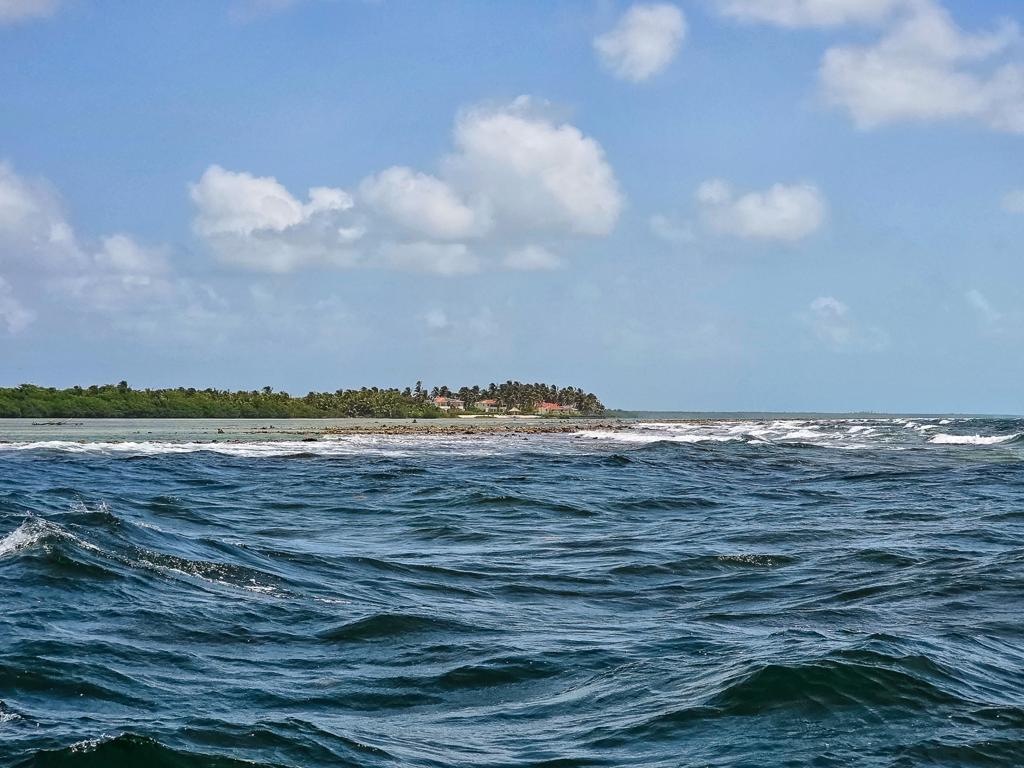 listing image with ID 114014