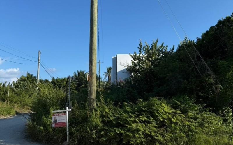 listing image with ID 113151