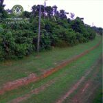 listing image thumbnail with ID 112725