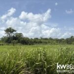 listing image thumbnail with ID 113414
