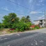 listing image thumbnail with ID 113071
