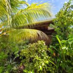 listing image thumbnail with ID 113788