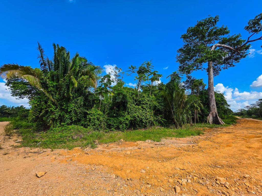 listing image with ID 113133