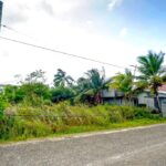 listing image thumbnail with ID 112817