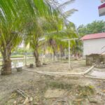 listing image thumbnail with ID 113991