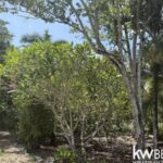 listing image thumbnail with ID 113528