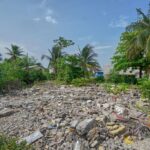 listing image thumbnail with ID 113075