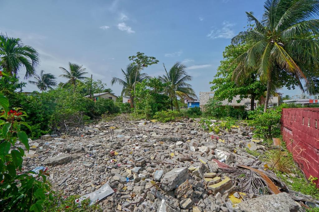 listing image with ID 113075