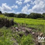 listing image thumbnail with ID 113408