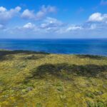 listing image thumbnail with ID 113823
