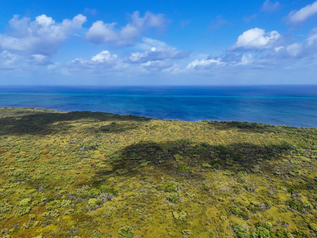 listing image with ID 113823