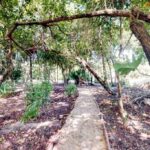 listing image thumbnail with ID 113373