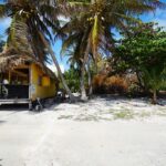 listing image thumbnail with ID 113719