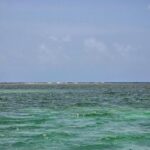 listing image thumbnail with ID 114016