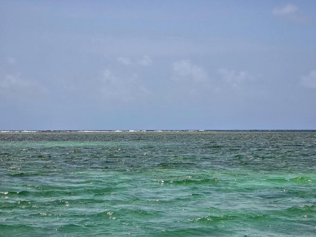 listing image with ID 114016