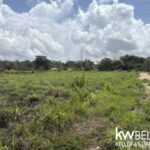 listing image thumbnail with ID 113413