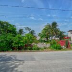 listing image thumbnail with ID 113070