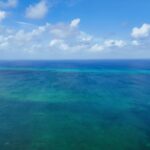 listing image thumbnail with ID 113824