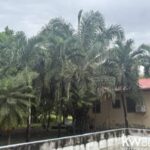 listing image thumbnail with ID 113514