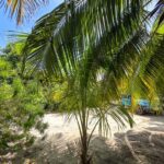 listing image thumbnail with ID 113790