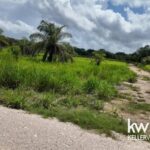 listing image thumbnail with ID 113410
