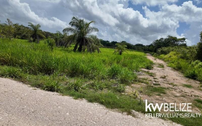 listing image with ID 113410