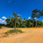listing image thumbnail with ID 113132