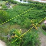 listing image thumbnail with ID 113707