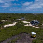 listing image thumbnail with ID 113907