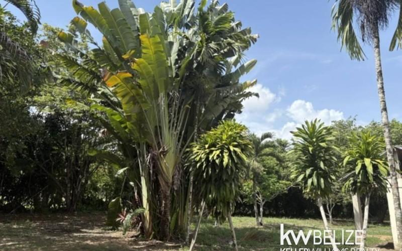 listing image with ID 113525