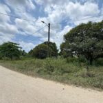 listing image thumbnail with ID 113541