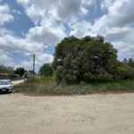 listing image thumbnail with ID 113540