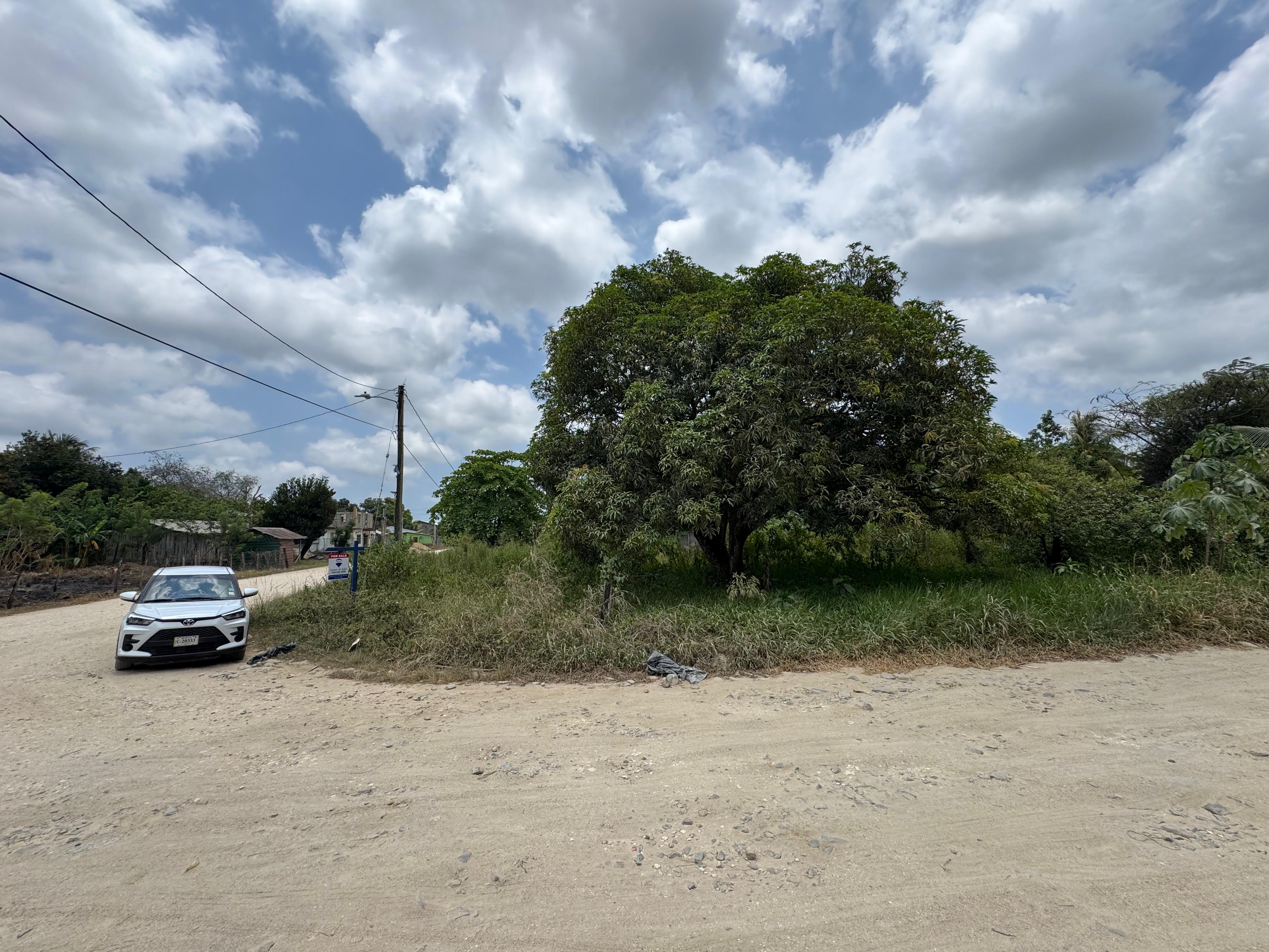 listing image with ID 113540