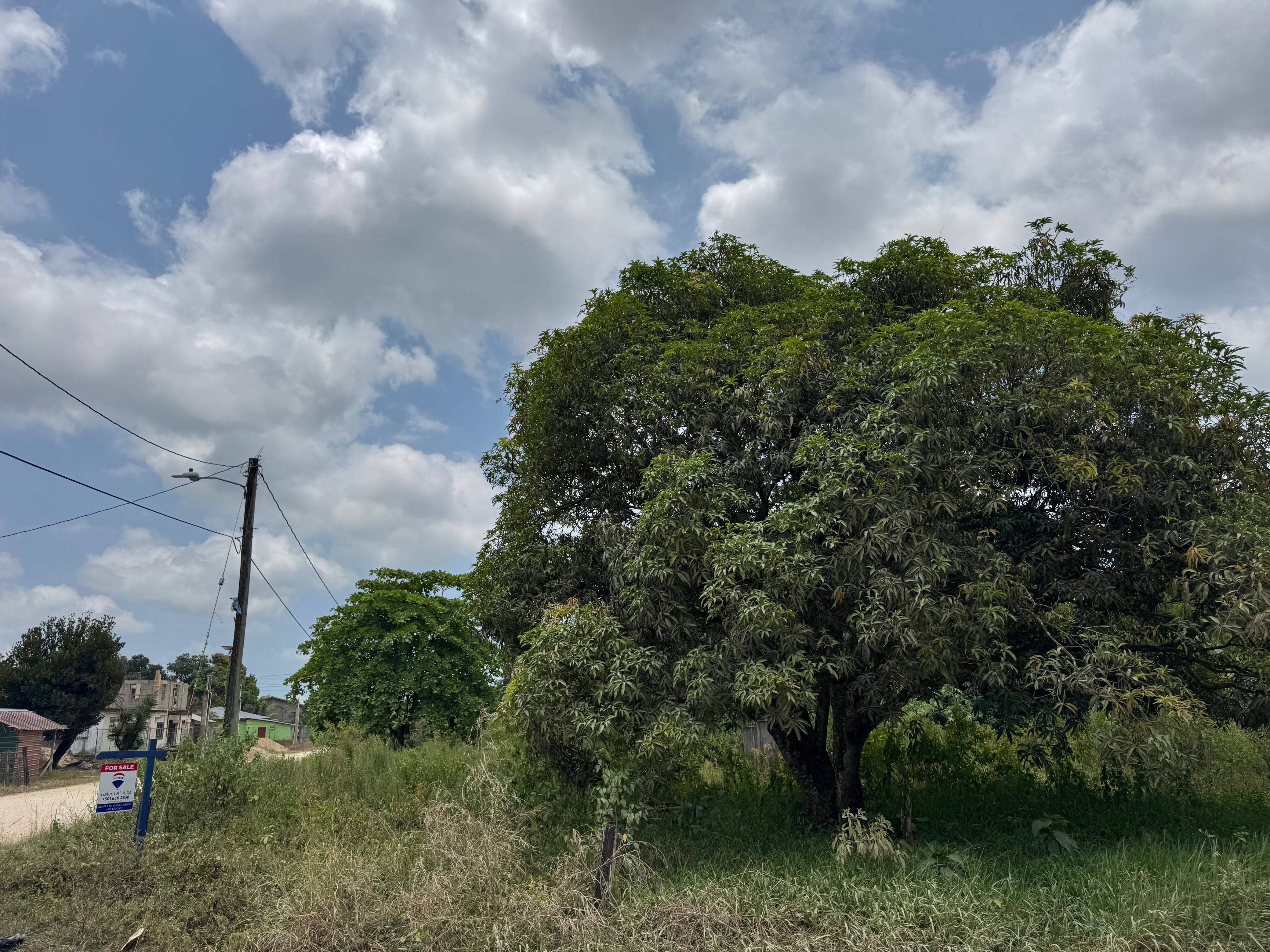listing image with ID 113539
