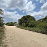 listing image thumbnail with ID 113538