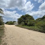 listing image thumbnail with ID 113544