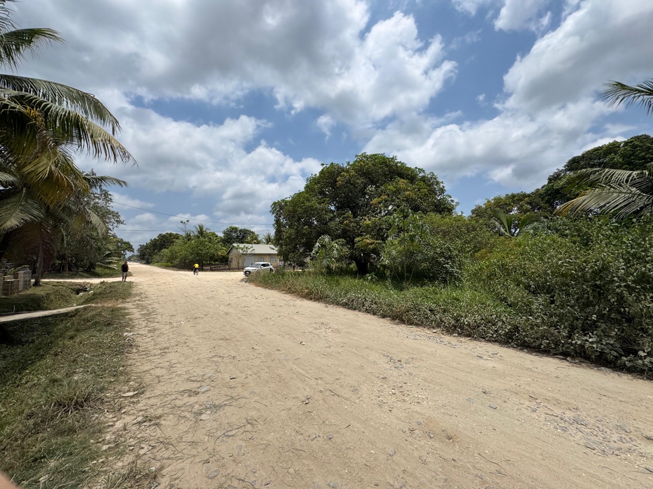 listing image with ID 113544