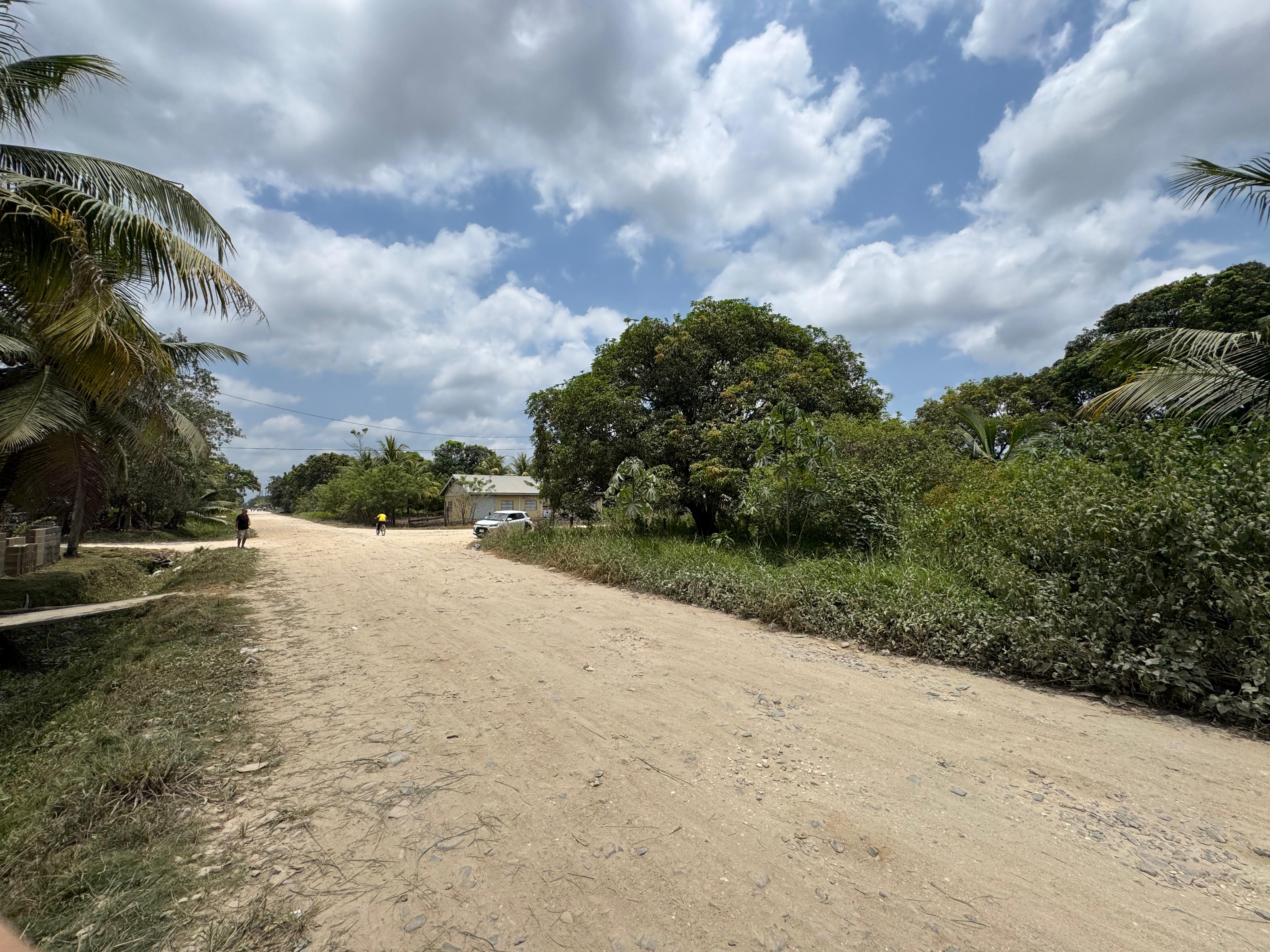 listing image with ID 113538